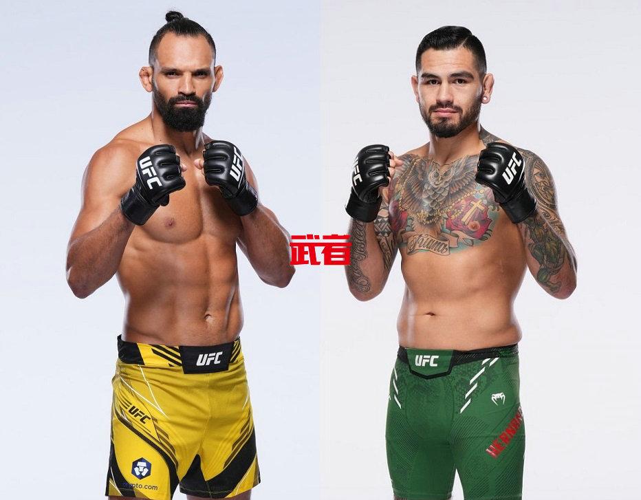 UFC-Pereira-Hernandez.jpg