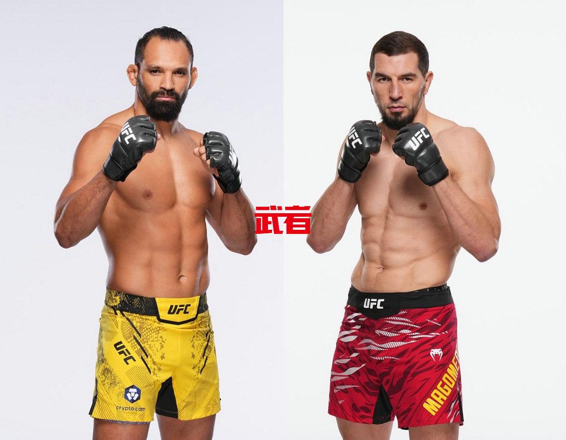 UFC-Pereira-Magomedov.jpg